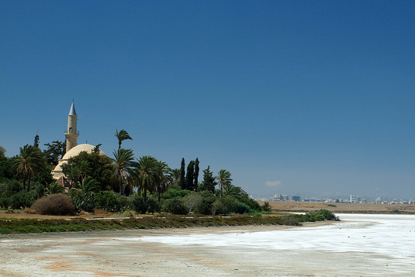Cypr | Meczet Hala Sultan Tekke